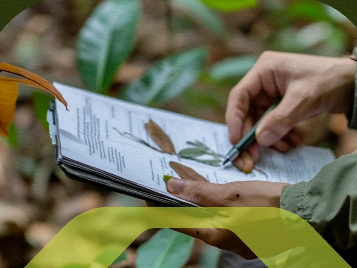 No momento, você está visualizando Requisitos e Formação de Auditor ISO 14001